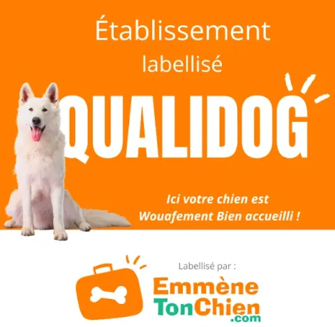 Logo Qualidog